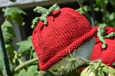 two knitted hats sitting on top of green plants