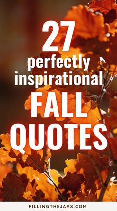 fall leaves with the words 27 perfectly inspirational fall quotes