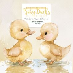 two baby ducks are sitting in the water