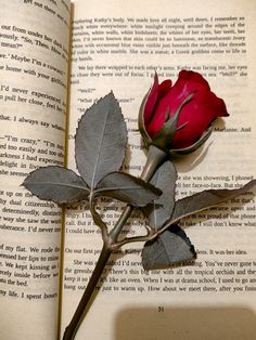 a red rose sitting on top of an open book