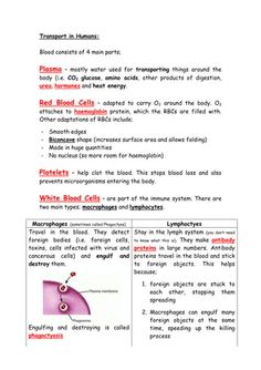 the diagram shows how to use different types of blood vessels and their functions in an animal's body