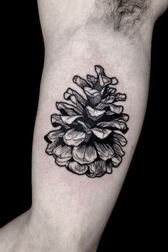 a black and white photo of a pine cone tattoo