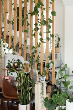 Décoration d'escaliers avec des plantes & tasseaux Stairs With Plants Interiors, Wood Accent Wall With Plants, Indoor Stairs Ideas, Plants On Stairs, Stair Railing Decor, Indoor Stair Railing Ideas, Plant Stairs, Plants Stairs, Stairs Indoor