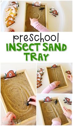 Reggio Bug Activities, Pk Activities, Preschool Dinosaur Activities, Insects Activities, Preschool Insects, Preschool Dinosaurs, Spring Insects, Butterfly Study, Kiddie Academy