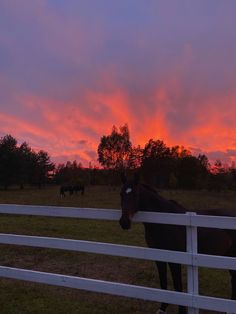 a horse standing next to a white fence with the sun setting in the sky behind it