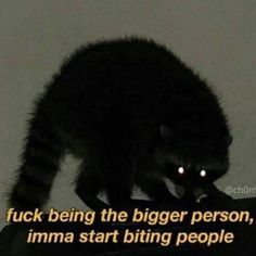 a raccoon is standing on top of a bag with the caption, i'm not being the bigger person, imma start biting people