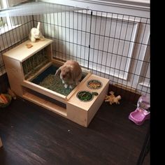 a rabbit is sitting on top of a wooden table