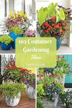 several different types of flowers in pots with text overlay that reads, 10 container gardening ideas southern living