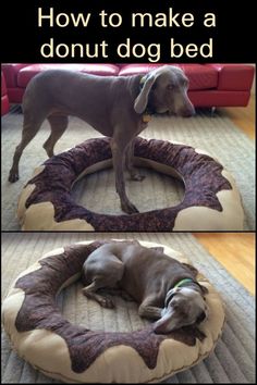 two pictures of a dog laying on top of a bed in front of a couch