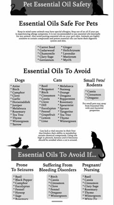 an info sheet describing the benefits of essential oils for dogs and cats to use in their home