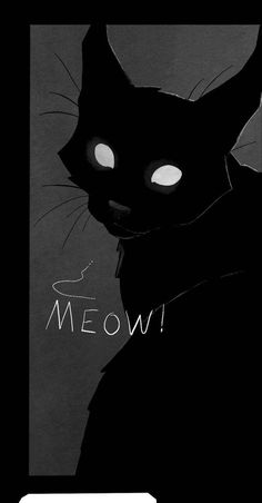 a black cat with glowing eyes and the words meow