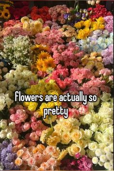 the words flowers are actually so pretty in front of a large amount of colorful flowers