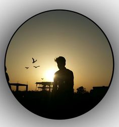 the silhouette of a man sitting in front of a sunset with birds flying over him