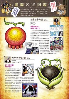 an article in the japanese language with pictures and words on it, as well as some other