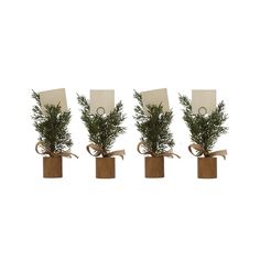 Pine tree place card holders with ribbon and wood square bottoms. Tree Place Card Holder, Christmas Place Card Holders, Holiday Places, Creative Co Op, Easy Organization, Next Holiday, Holiday Dinner, Place Card, Pine Tree