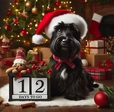 a small black dog wearing a santa hat and sitting next to a table with presents