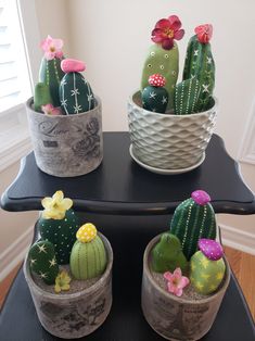 three potted cactus plants sitting on top of a table