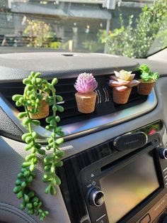 three succulents are placed on the dashboard of a car, along with an air vent