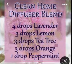 Room Freshener Essential Oils Diffuser, Air Purifying Essential Oil Blend, Air Purifying Diffuser Blend, Essential Oil Spray Recipes, Diffuse Essential Oils, Eo Blends, Essential Oil Perfumes Recipes