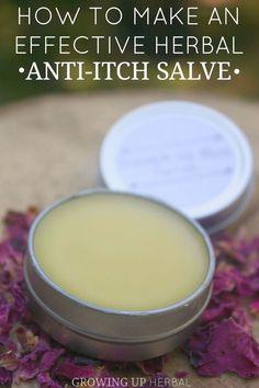 How To Make An Effective Herbal Anti-Itch Salve | Growing Up Herbal | Preventing bug bites is key, but what do you do to stop the itch if you or your kid does end up with them? Try this effective herbal anti-itch salve next time and see what you think! Cooking With Turmeric, Anti Itch Cream, Anti Itch, Bug Bites