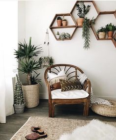 a living room with plants and potted plants on the wall