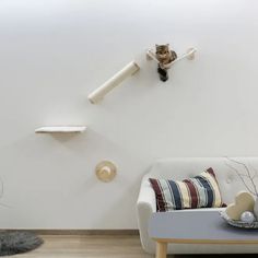 a cat sitting on top of a white couch next to a wall mounted with shelves