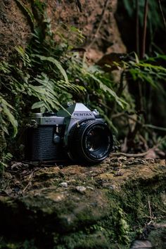 a camera sitting on top of a moss covered rock