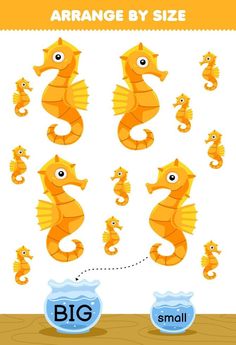 Education game for children arrange by size big or small put it in the fish bowl of cute cartoon seahorse printable underwater worksheet Playgroup Worksheets, Cartoon Seahorse, Sea Activities, Brain Test, Mazes For Kids, Game For Children, Baby Learning Activities, Daycare Activities, Kids Training