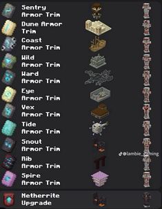 an image of the different types of items in minecraft