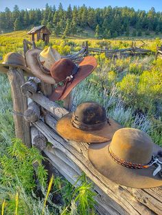 Brit West - Ranch worn Thunderbird Hats Cowboys Hats, Hats Summer, Vintage Leather Belts, Vintage Cowboy