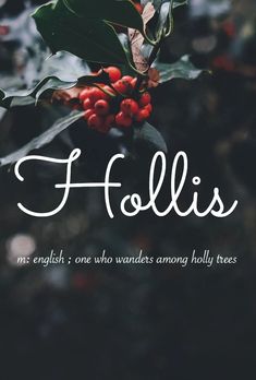 holly leaves and berries with the words follis