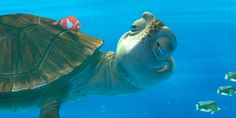 an animated turtle swimming in the ocean with fish around it's neck and head