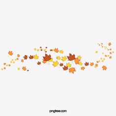 an image of fall leaves falling from the sky