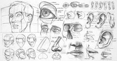 an image of various facial expressions drawn in pencil on paper with the caption's description below