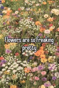 the words flowers are so freaking pretty in front of a field of wildflowers