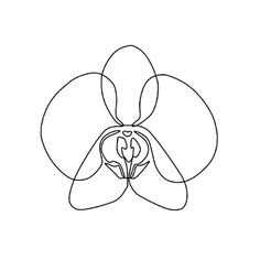 an orchid flower is shown in the shape of a line art style, on a white background