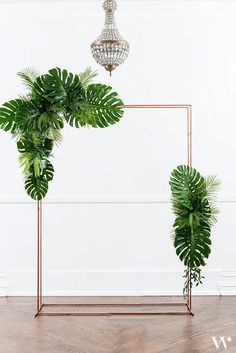 two large green plants are in front of a white wall and a gold frame with a chandelier hanging from the ceiling