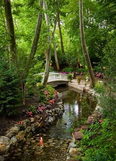 a small stream running through a lush green forest filled with trees and flowers next to a stone bridge