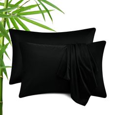 two black pillow cases next to a bamboo plant