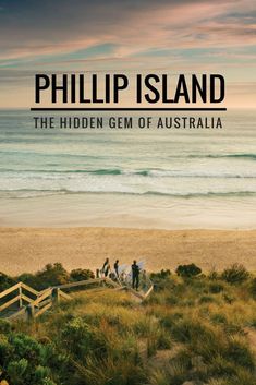 the cover of philip island, the hidden gems of australia