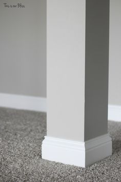 a cat sitting on the floor next to a white column in an empty living room