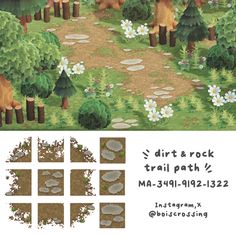 an image of a forest scene with rocks and flowers on the ground, along with text that reads dirt rock trail path 2