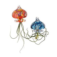 two colorful glass jellyfishs are hanging from the ceiling and one is upside down