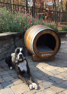 a dog laying on the ground next to a barrel