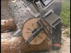 a man is using a chainsaw to cut down a large tree