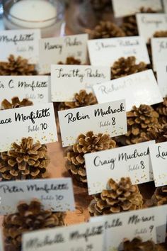 pine cones with place cards on them for guests