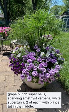 purple flowers are in a large pot on the side of a brick walkway next to some tables and chairs