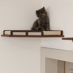 a cat sitting on top of a wooden shelf