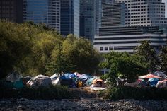 there are many tents set up on the bank of the river with tall buildings in the background