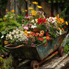 a wheelbarrow filled with lots of colorful flowers